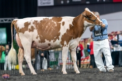 A9106102-4272 A9106102-4272