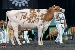 A9106103-4273 A9106103-4273