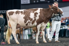 A9106107-4274 A9106107-4274