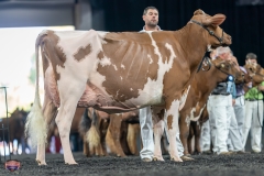 A9106108-4275 A9106108-4275