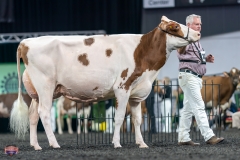 A9106113-4276 A9106113-4276