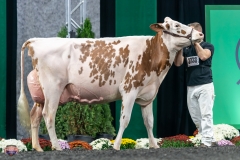 A9106114-4277 A9106114-4277