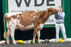 A9106116-4278 A9106116-4278