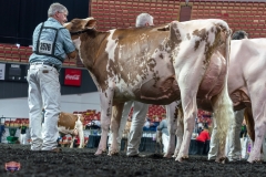 AR305886-4303 AR305886-4303