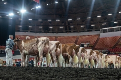 AR305890-4304 AR305890-4304