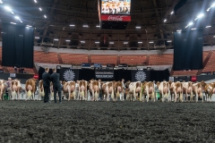 AR305892-4305 AR305892-4305