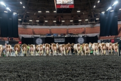 AR305895-4306 AR305895-4306