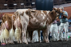 AR305905-4308 AR305905-4308