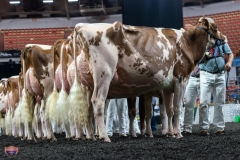 AR305911-4310 AR305911-4310