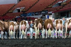 AR305912-4311 AR305912-4311