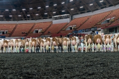 AR305914-4312 AR305914-4312