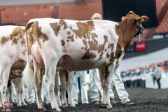 A9105968-4190 A9105968-4190