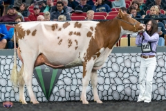 A9105996-4200 A9105996-4200