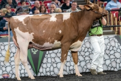 A9106000-4202 A9106000-4202