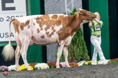 A9106003-4203 A9106003-4203