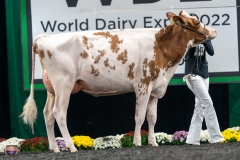 A9106005-4204 A9106005-4204