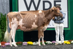 A9106008-4205 A9106008-4205