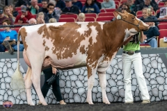 A9106015-4207 A9106015-4207