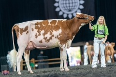 A9106019-4209 A9106019-4209