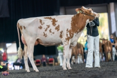 A9106023-4210 A9106023-4210