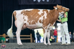 A9106024-4211 A9106024-4211