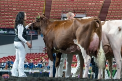 AR305862-4219 AR305862-4219