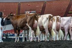 AR305865-4220 AR305865-4220