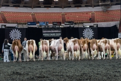 AR305868-4221 AR305868-4221