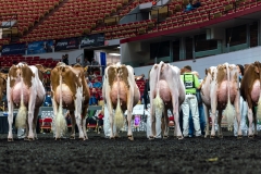 AR305876-4224 AR305876-4224