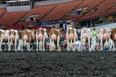 AR305877-4225 AR305877-4225