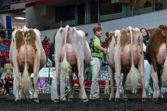 AR305878-4226 AR305878-4226