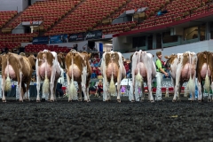 AR305879-4227 AR305879-4227