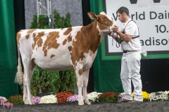 A9105534-3889 A9105534-3889