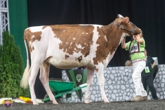 A9105538-3891 A9105538-3891