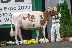 A9105539-3892 A9105539-3892