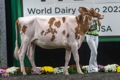 A9105542-3893 A9105542-3893