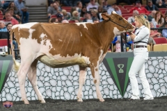 A9105545-3894 A9105545-3894