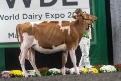 A9105546-3895 A9105546-3895