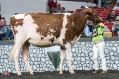 A9105548-3896 A9105548-3896