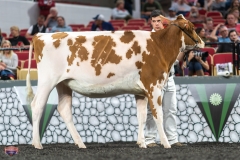 A9105549-3897 A9105549-3897