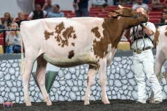 A9105552-3899 A9105552-3899