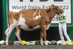 A9105558-3901 A9105558-3901