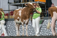 A9105559-3902 A9105559-3902