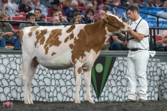 A9105560-3903 A9105560-3903