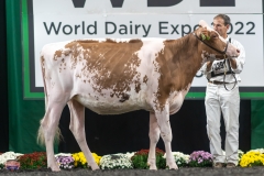 A9105568-3905 A9105568-3905