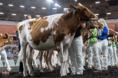 AR302320-3907 AR302320-3907