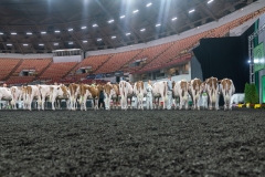 AR302324-3908 AR302324-3908