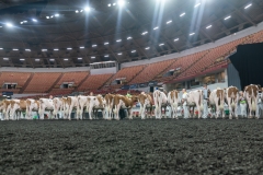 AR302326-3909 AR302326-3909