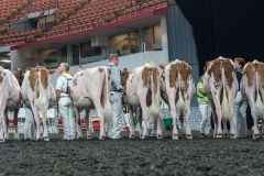 AR302327-3910 AR302327-3910