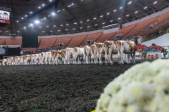 AR302332-3911 AR302332-3911